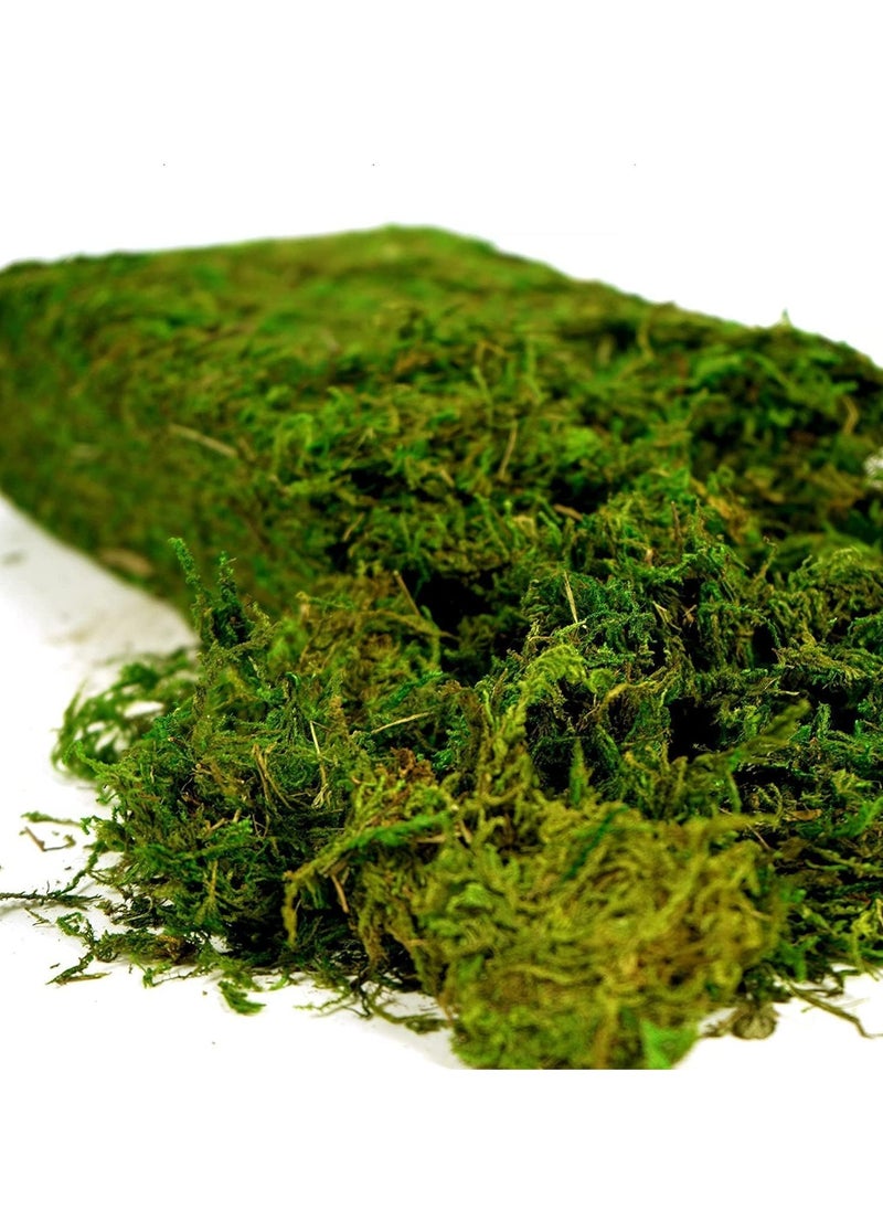 HOME TASTE Artificial Moss Green Grass 400 Gram – Realistic Decorative Moss for Centerpieces, Home, Kitchen, Garden, Terrariums & DIY Crafts – Lush Simulated Lawn Plant Decor  - Image 1