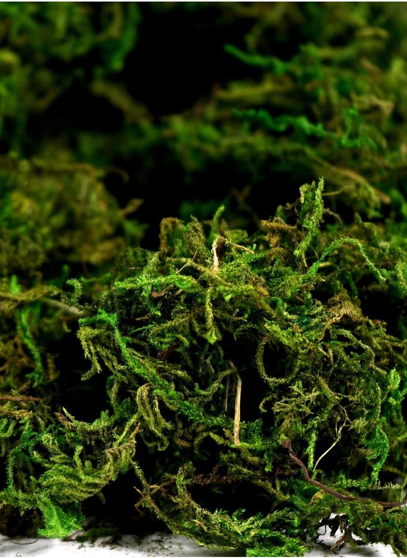 HOME TASTE Artificial Moss Green Grass 400 Gram – Realistic Decorative Moss for Centerpieces, Home, Kitchen, Garden, Terrariums & DIY Crafts – Lush Simulated Lawn Plant Decor  - Image 5