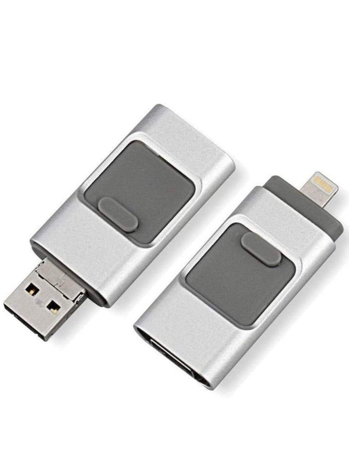 iFlash 256 GB USB Flash Drive - OTG - Image 1