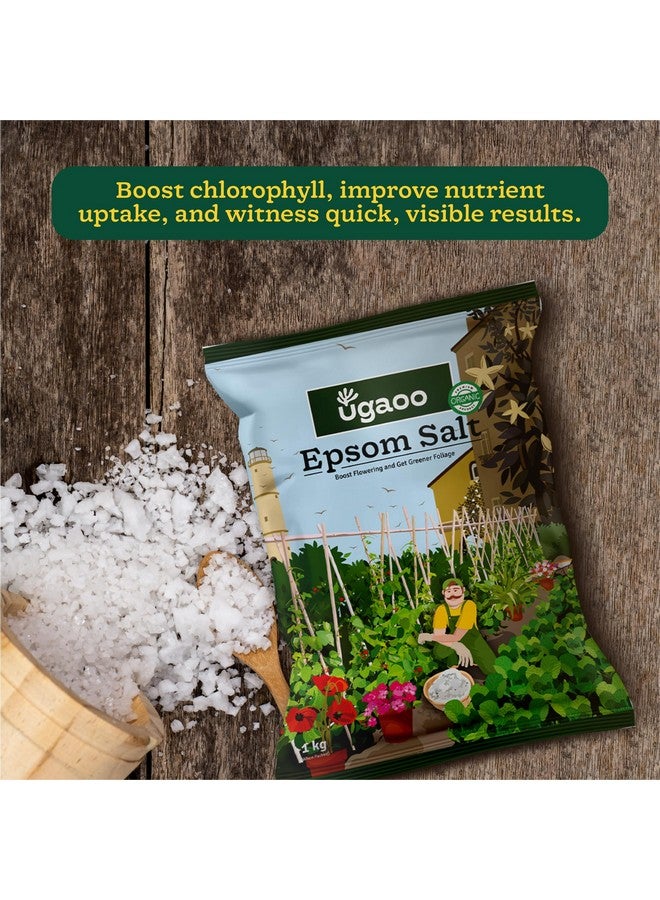 Ugaoo Epsom Salt for Plants Growth - Magnesium Sulphate Organic Fertilizer - 1 Kg |Powder - Image 3