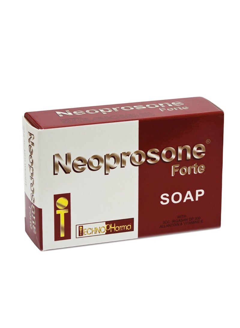 Beauty Soap With Dual Nourishment
