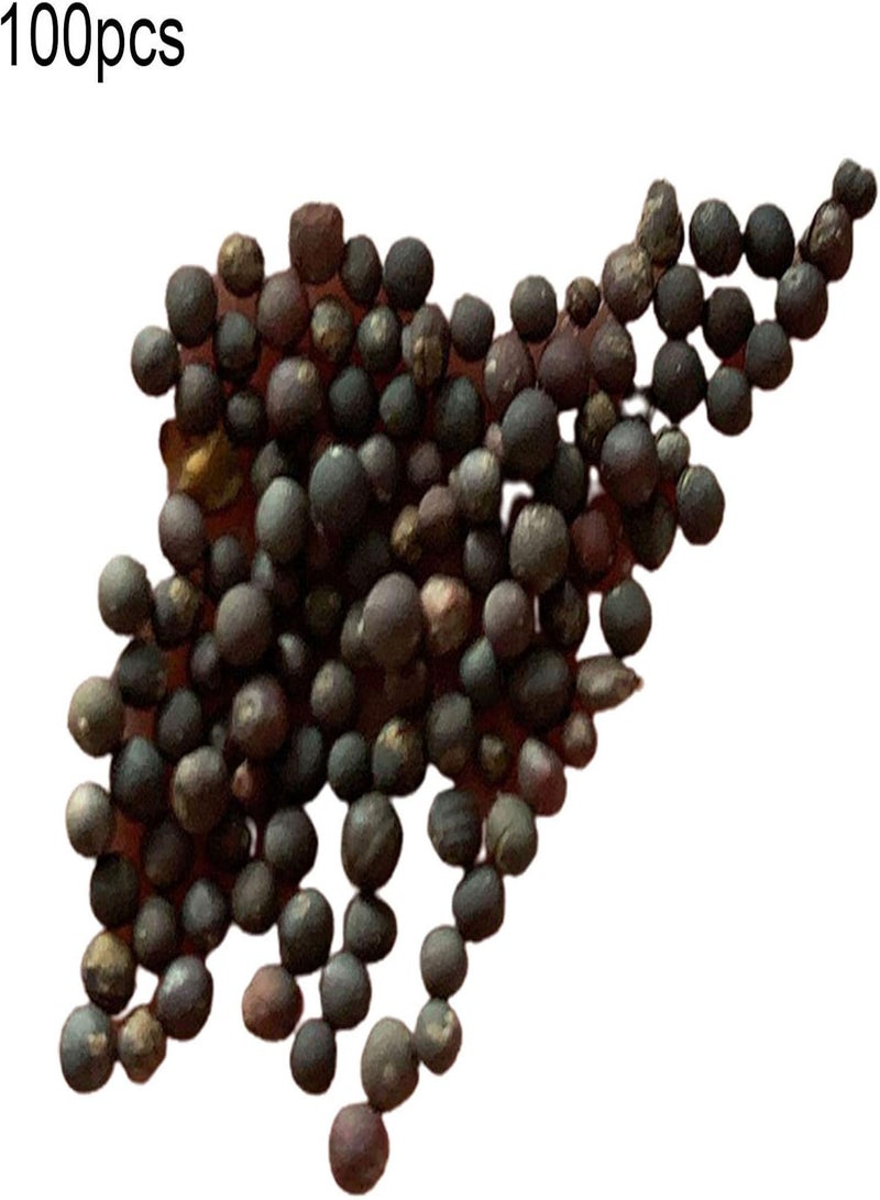 GGOOT 100Pcs/Bag Mix Seeds Non GMO Fast Growing High Germination Rate Summer Leaf Salad Greens Seed for Garden - Image 5