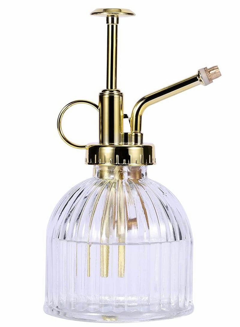 Excefore Glass Plant Spray Bottle, Clear Glass Water Spray Bottle with Gold Top Pump Small Watering Can, Small Plant Sprayer Mister for Indoor Outdoor House Plant - 1Pcs  - Image 1