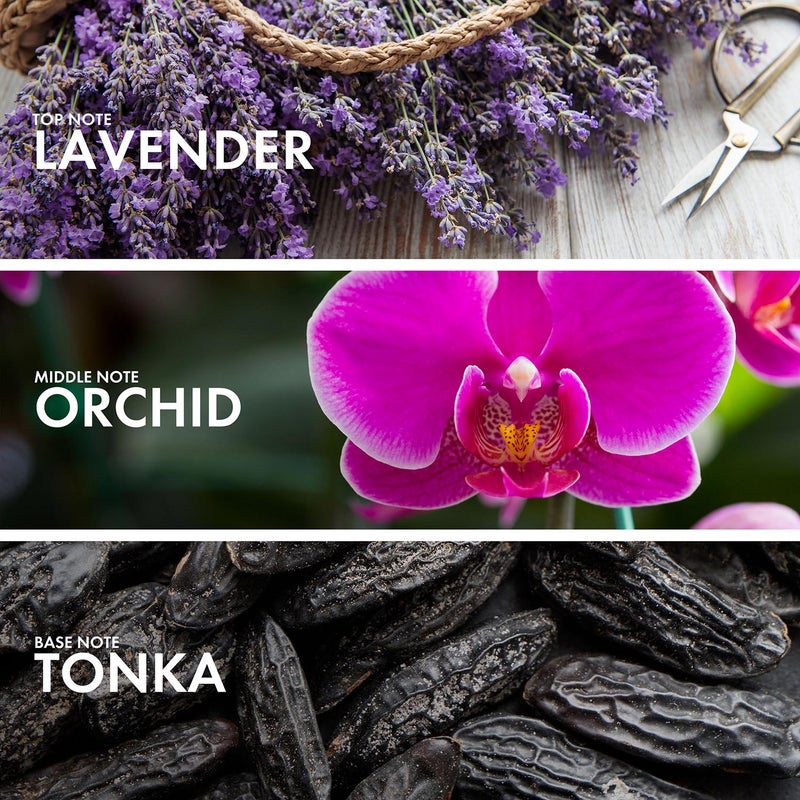 Craftier Perfume ORCHID LAVENDER - Inspired of-LIBRE INTENSE, Eau De Parfum for Women - 50ml, Long Lasting Floral Fragrance Upto 48 Hrs, Travel Size Women's Perfume - Image 4