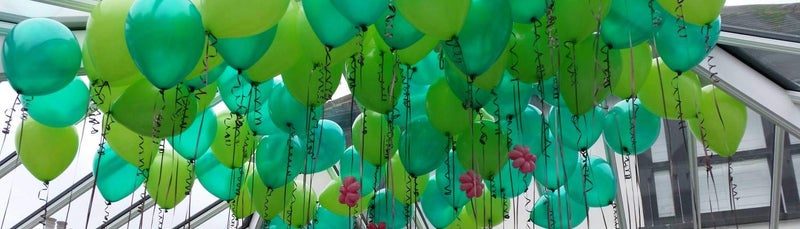 Balloonistics 10 Inch (Pack of 50) Balloons for Birthday Decoration, Decoration for Weddings, Engagement, Baby Shower, 1st Birthday, Anniversary Party, Birthday Party Supplies (Dark Green) - Image 3