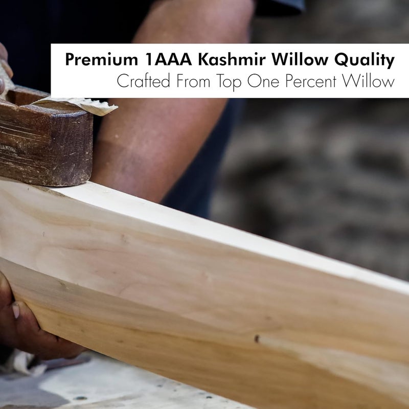 ZAP Alpha Kashmir Willow Cricket Leather Bat (Size Harrow -32.7inches) | Grade 1 Kashmir Willow | Lightweight Professional Season Bat | Singapore Cane Handle | Shock-Absorbing Handle | Free Cover - Image 2