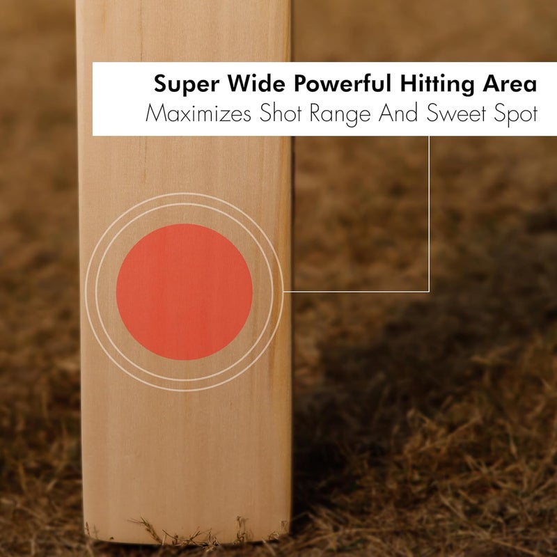 ZAP Alpha Kashmir Willow Cricket Leather Bat (Size Harrow -32.7inches) | Grade 1 Kashmir Willow | Lightweight Professional Season Bat | Singapore Cane Handle | Shock-Absorbing Handle | Free Cover - Image 4