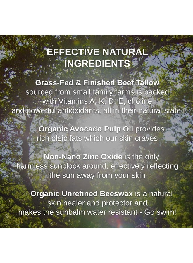 Shwally Zinc & Avocado Mineral Sunbalm 30Spf The Only Real Primal Sun Lotion 100% Grass Fed Tallow Avocado Oil And Nonnano Zinc Oxide Pregnancy And Nursing Safe (4 Oz Not Tinted) - Image 3