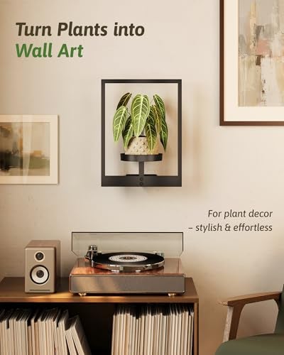 GENTINGBRO Wall Plant Holder Wall Planters for Indoor Plants Plant Wall Shelf Plant Hanger Indoor Hanging Plant Holder Wall Decor Plant Frame for Living Room Window Balcony - Image 3