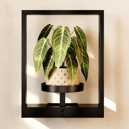 GENTINGBRO Wall Plant Holder Wall Planters for Indoor Plants Plant Wall Shelf Plant Hanger Indoor Hanging Plant Holder Wall Decor Plant Frame for Living Room Window Balcony - Image 1