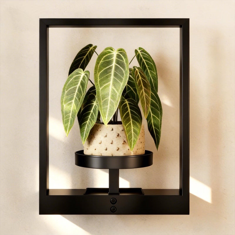 GENTINGBRO Wall Plant Holder Wall Planters for Indoor Plants Plant Wall Shelf Plant Hanger Indoor Hanging Plant Holder Wall Decor Plant Frame for Living Room Window Balcony - Image 2