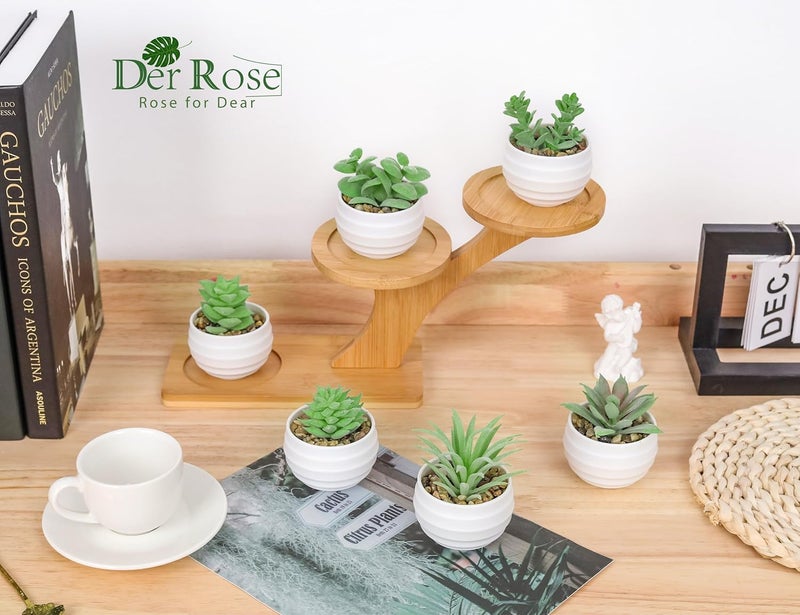 Der Rose Set of 6 Succulents Plants Artificial in Pots Small Fake Plants for Bedroom Aesthetic Living Room Shelf Bathroom Decor Office Desk Accessories - Image 5