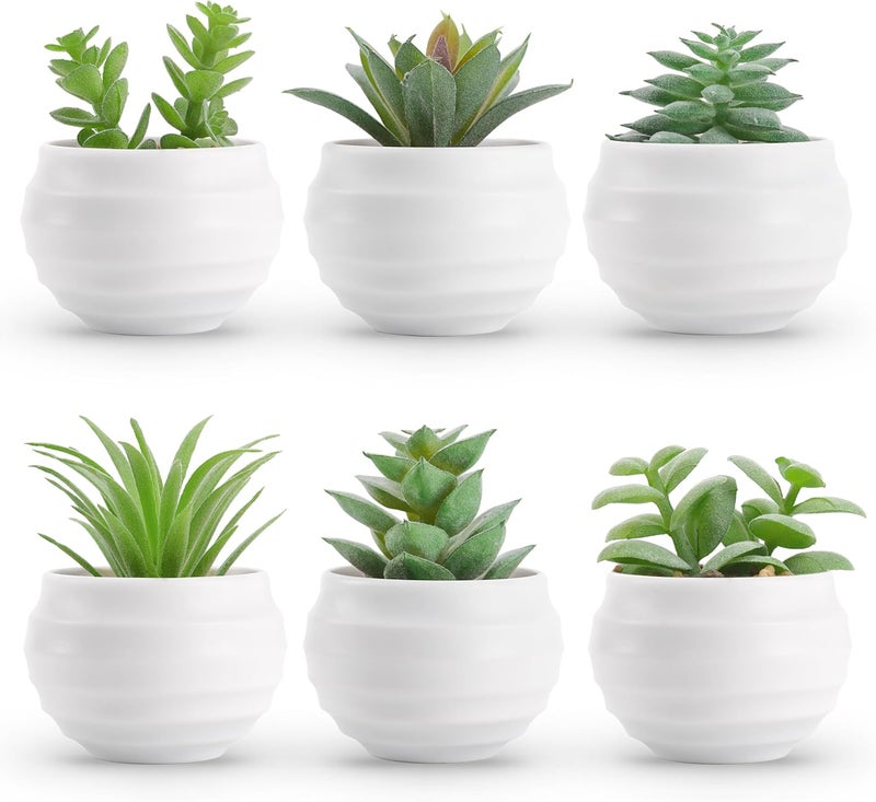 Der Rose Set of 6 Succulents Plants Artificial in Pots Small Fake Plants for Bedroom Aesthetic Living Room Shelf Bathroom Decor Office Desk Accessories - Image 1