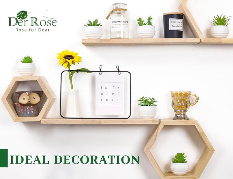 Der Rose Set of 6 Succulents Plants Artificial in Pots Small Fake Plants for Bedroom Aesthetic Living Room Shelf Bathroom Decor Office Desk Accessories - Image 3
