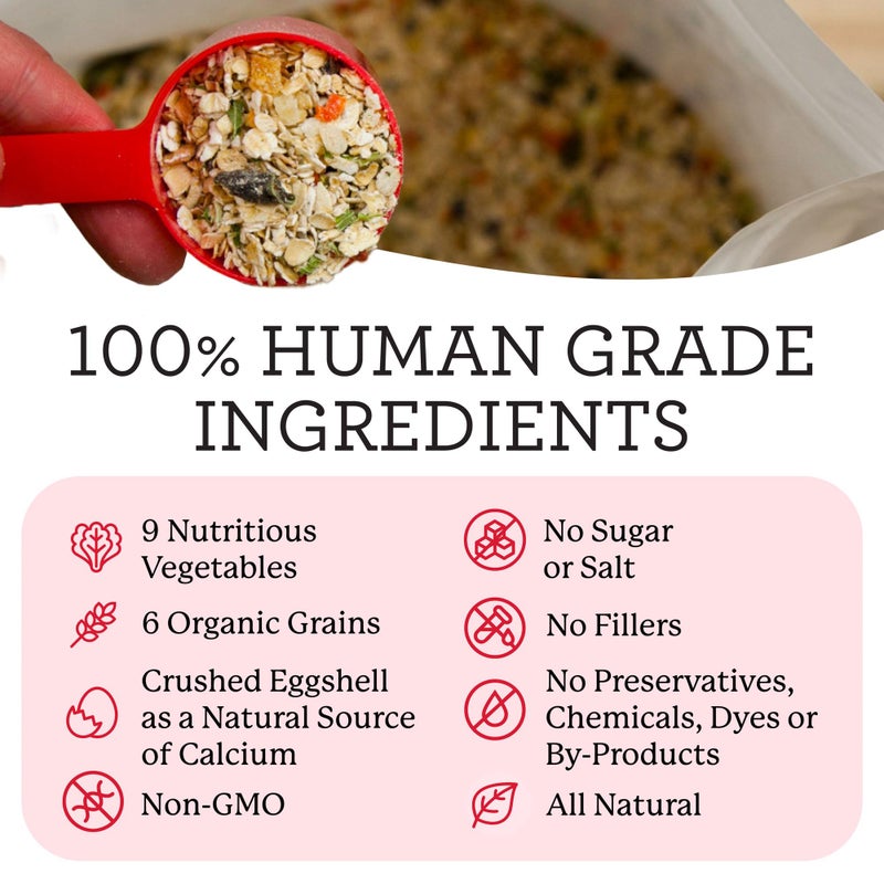 Dr. Harvey's Canine Health Miracle Dog Food, Human Grade Dehydrated Base Mix for Dogs with 9 Vegetables and 6 Organic Whole Grains (10 Pounds) - Image 3