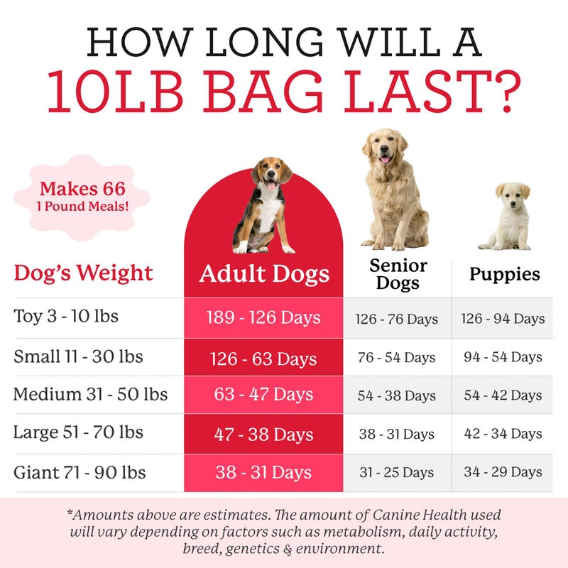 Dr. Harvey's Canine Health Miracle Dog Food, Human Grade Dehydrated Base Mix for Dogs with 9 Vegetables and 6 Organic Whole Grains (10 Pounds) - Image 5