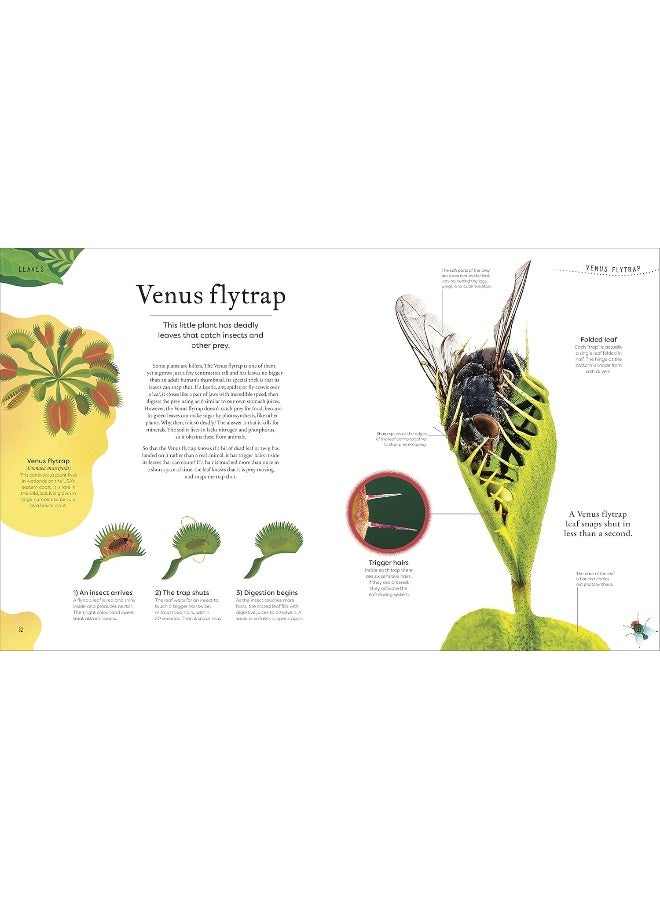 The Secret World of Plants: Tales of More Than 100 Remarkable Flowers, Trees, and Seeds - Image 4