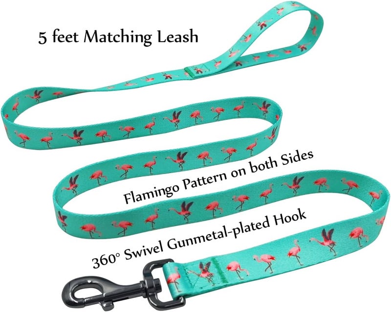 Ovale Dog Collar and Leash Set, Polyester Webbing with Flamingo Pattern, 4 (Green Flamingo, Small) - Image 3