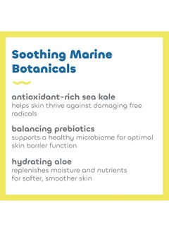 The Seaweed Bath Co. لوشن الوقاية من أشعة الشمس واسع الطيف من Seaweed Bath Co. Everyday Mineral SPF 40، 3.4 أونصة (عبوة من قطعتين) من الأعشاب البحرية التي يتم حصادها بشكل مستدام، البريبايوتكس، الكرنب البحري  - Image 4