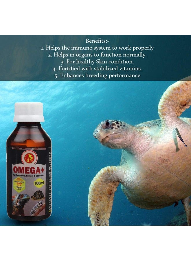 بت (Pci) Omega+ || يوفر أوميغا وفيتامينات أساسية || لصحة الإغوانا والجيكو والحيوانات الأليفة الأخرى المتقشرة (100 مل) - Image 3
