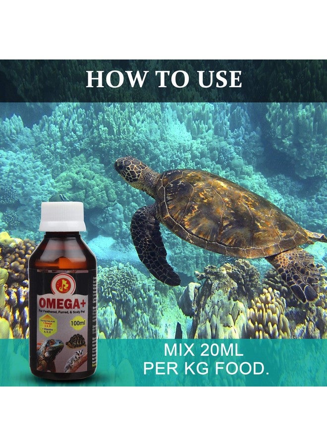 بت (Pci) Omega+ || يوفر أوميغا وفيتامينات أساسية || لصحة الإغوانا والجيكو والحيوانات الأليفة الأخرى المتقشرة (100 مل) - Image 4