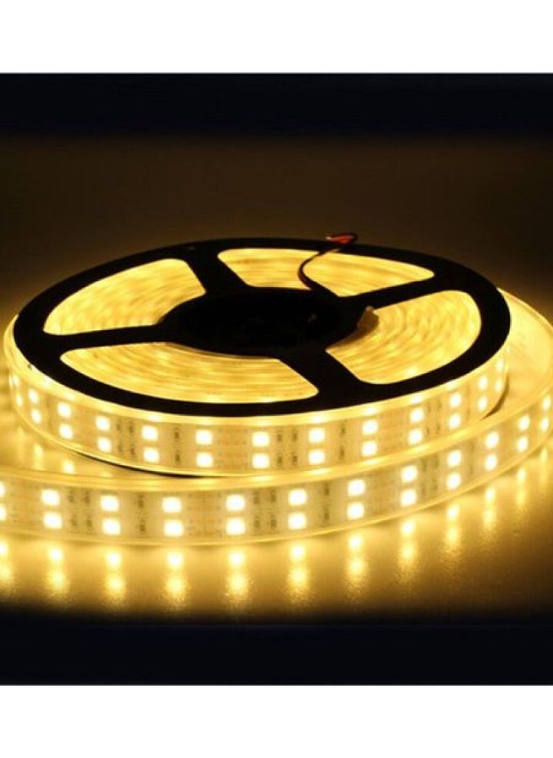 Generic LED Double Warm Light Strip-5M-waterproof Tape  - Image 1