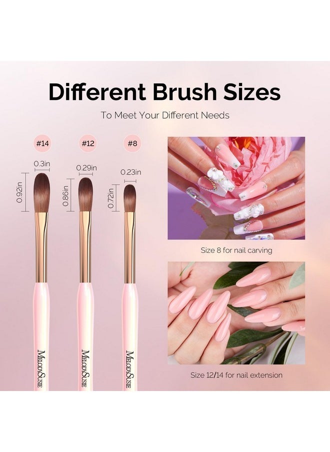 MelodySusie 3Pcs Acrylic Nail Brush Set, Size 8/12/14 Professional Nail Brushes For Acrylic Application Acrylic Powder Nail Extension And 3D Nail Carving For Diy Home Salon Nail Manicure Tool  - Image 5