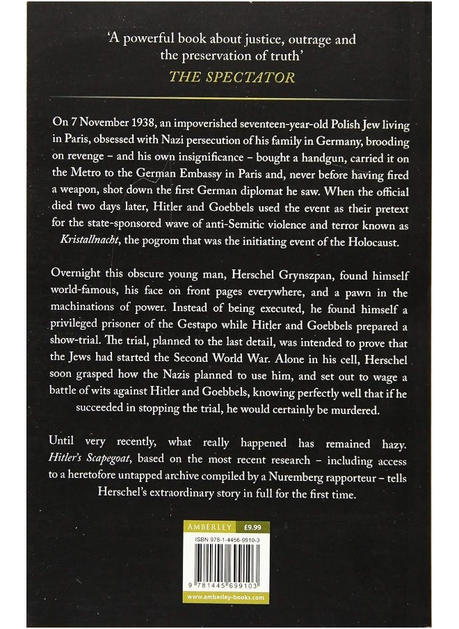 Hitler's Scapegoat: The Boy Assassin and the Holocaust  - Image 2