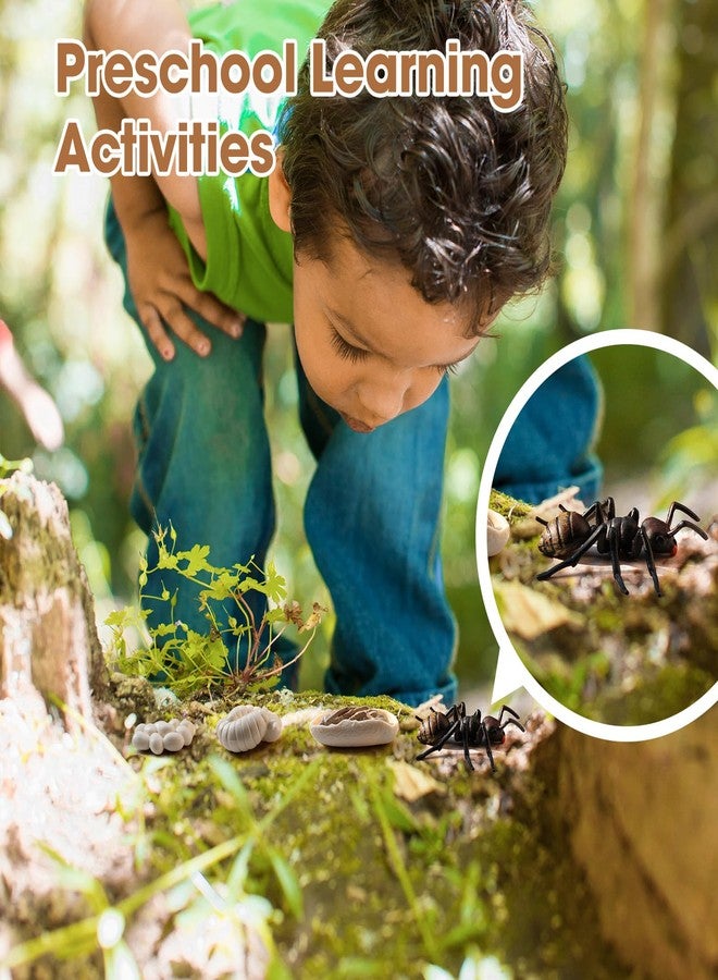 ميركو ألعاب دورة حياة الدجاج من ميروكو للأطفال من عمر 3 إلى 5 سنوات، بطاقات تعليمية للحيوانات مع تماثيل، لعبة مطابقة العلوم لمرحلة ما قبل المدرسة، ألعاب تعليمية وتعليمية - Image 3