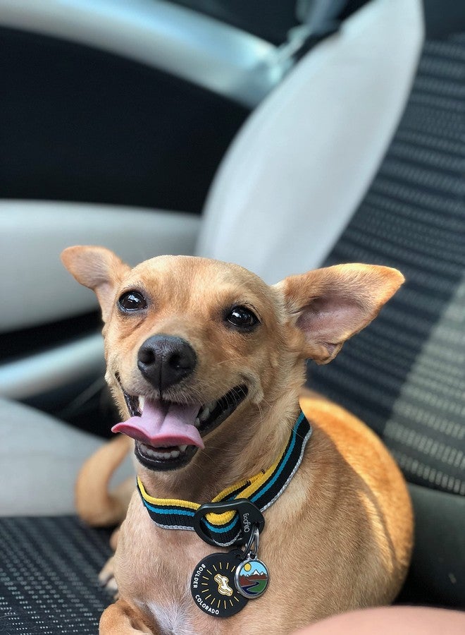 OllyDog طوق مارتينجال ميسا من أولي دوغ، طوق مارتينجال سهل الارتداء للكلاب مع حزام عاكس، بدون مشبك، طوق جرو، مستلزمات الحيوانات الأليفة (صغير، أنثراسيت) - Image 2