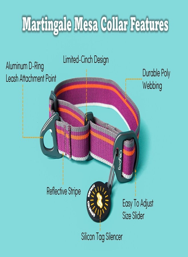 OllyDog طوق مارتينجال ميسا من أولي دوغ، طوق مارتينجال سهل الارتداء للكلاب مع حزام عاكس، بدون مشبك، طوق جرو، مستلزمات الحيوانات الأليفة (صغير، أنثراسيت) - Image 3