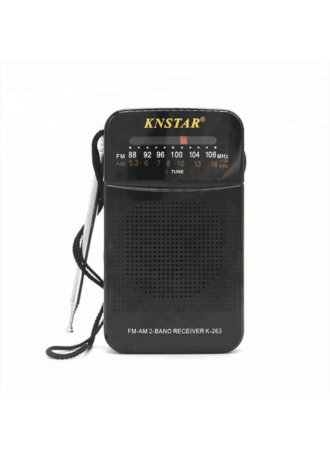 K-263 Portable Radio