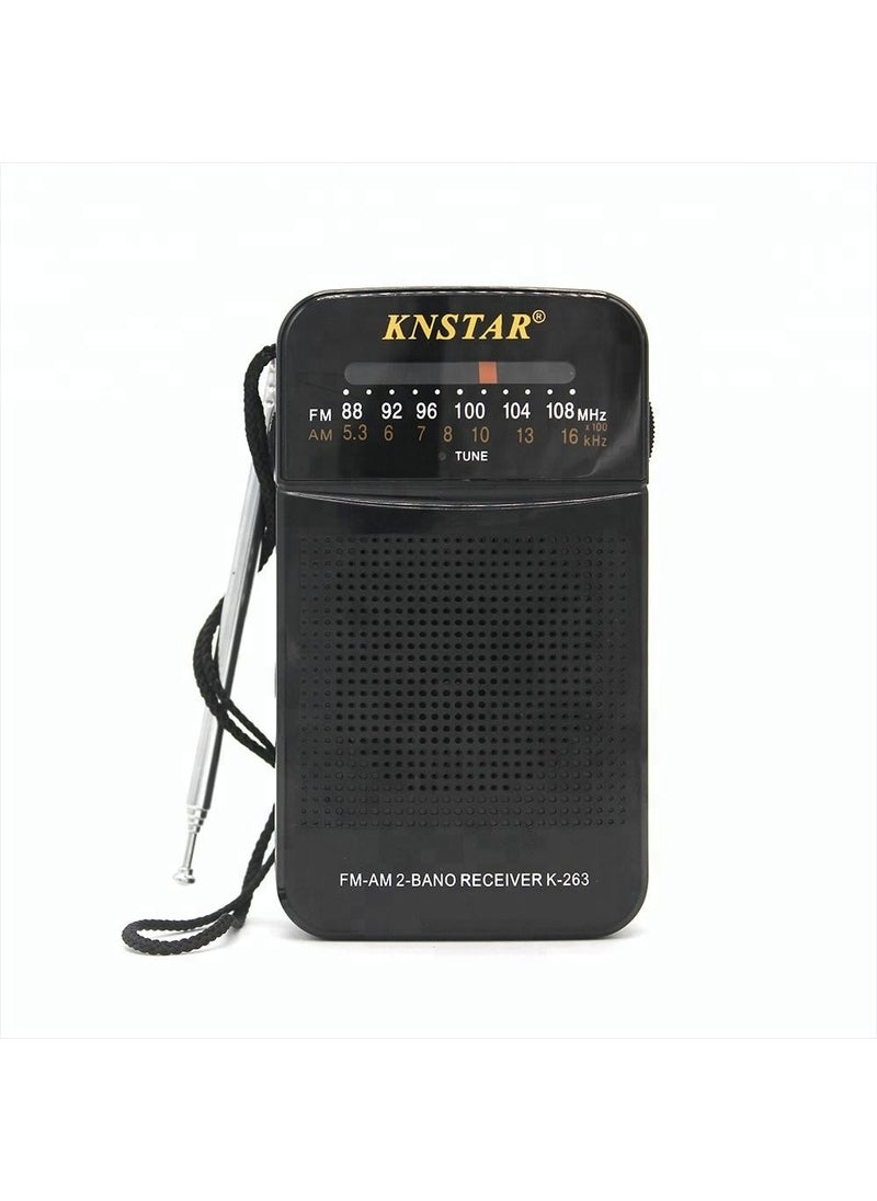 K-263 Portable Radio