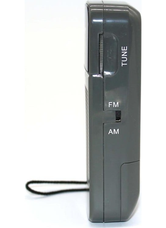 K-263 Portable Radio