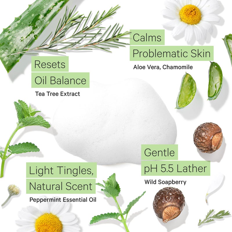 Tree to Tub Sensitive Skin Face Wash for Oily or Combination Skin - Gentle Tea Tree Face Cleanser for Women & Men, Oil Free Daily Foaming Facial Cleanser w/Organic Aloe Vera, All Natural Peppermint - Image 3