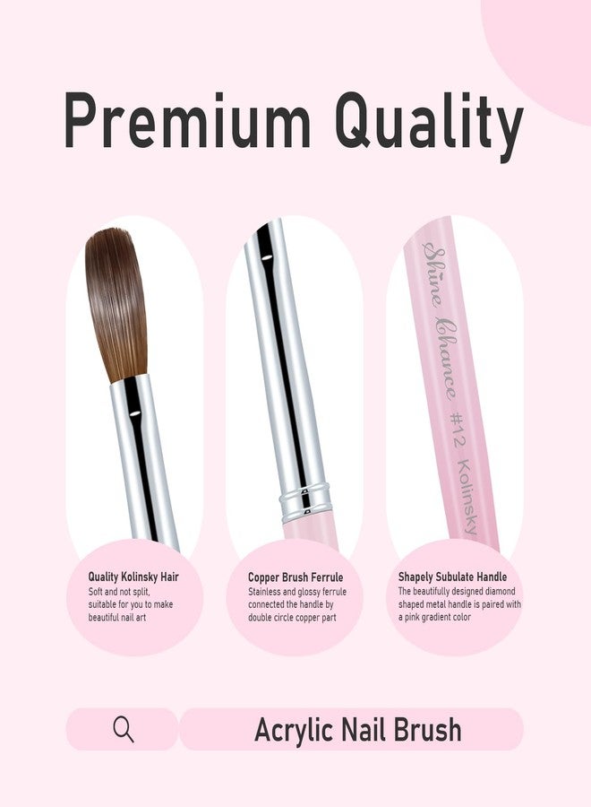 Shine Chance Acrylic Nail Brush Size 10, 100% Pure Kolinsky Nail Brush for Acrylic Application, Professional Nail Extension Manicure Tool Nail Drawing Pen for DIY Home Salon(Pink) - Image 2