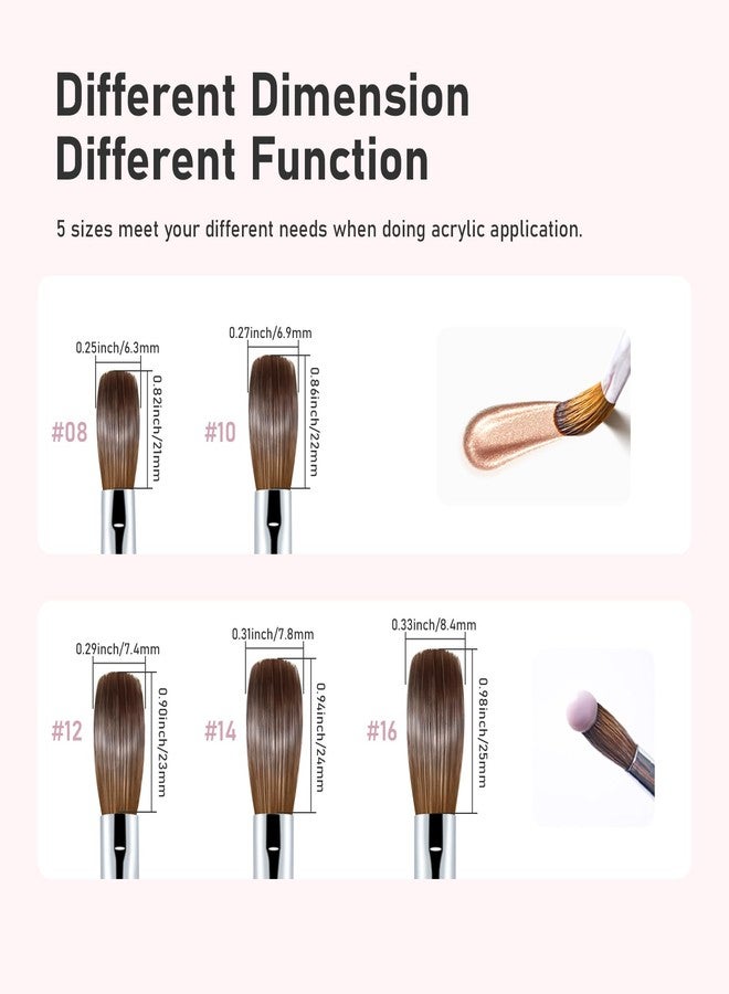 Shine Chance Acrylic Nail Brush Size 10, 100% Pure Kolinsky Nail Brush for Acrylic Application, Professional Nail Extension Manicure Tool Nail Drawing Pen for DIY Home Salon(Pink) - Image 4