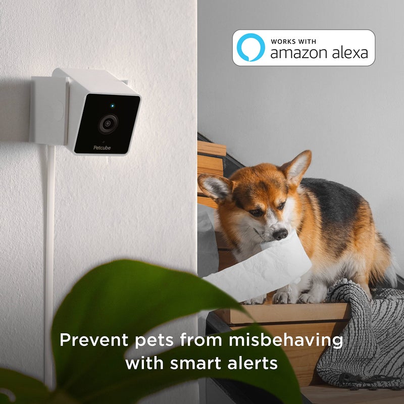 Petcube Cam Indoor Home Security Camera with 1080p HD Video, Two-Way Audio, Motion Detection, and Phone App, Night Vision Wi-Fi Camera for Apartment Security, Video Baby Monitor - Image 2