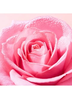 NUXE Very Rose Fresh Toning Mist - Natural Rose Water for Gentle Skin Refreshment - 200 ml  - Image 2