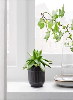 TV Plant pot in outdoor black 6cm  - Image 2