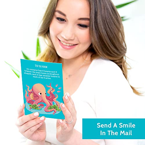 T MARIE 40 Animal Fun Fact Postcards - Bulk Thinking of You Postcard Pack for Kids, Students, Friends, Teacher, and More - Say Hello, Thank You or I Miss You with Colorful Note Cards - Image 4