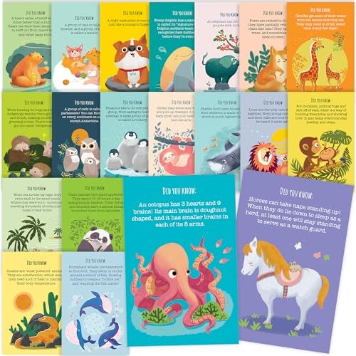 T MARIE 40 Animal Fun Fact Postcards - Bulk Thinking of You Postcard Pack for Kids, Students, Friends, Teacher, and More - Say Hello, Thank You or I Miss You with Colorful Note Cards - Image 1