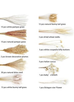 Generic 109 Pcs Dried Pampas Grass Dried Flowers Of Small Reeds Boho Natural Flowers Arrangements White Reed Bunny Tails for Home Decor Flower Living Room Balcony Wedding Party 