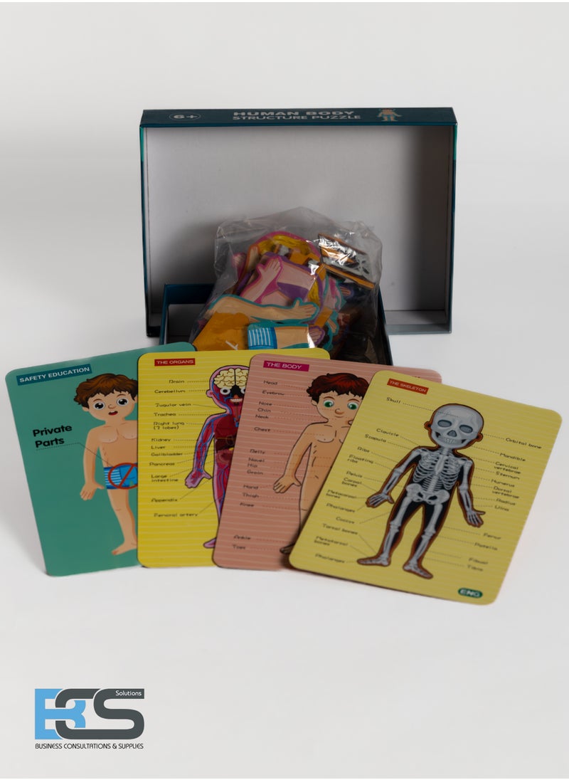 Generic 35 Piece human body structure puzzle  - Image 1