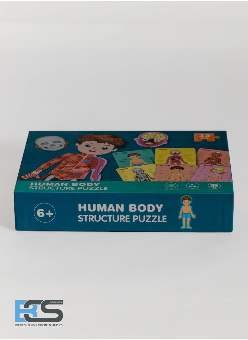 Generic 35 Piece human body structure puzzle  - Image 3