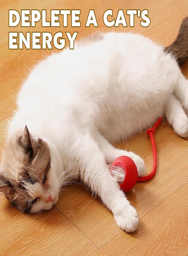 ROMILAS Interactive Rolling Dog Ball Toy Interactive Cat Ball Toy Fast Rolling 360° Smart Automatic Rolling Pet Ball for Dogs and Cats (Multicolor) - Image 5