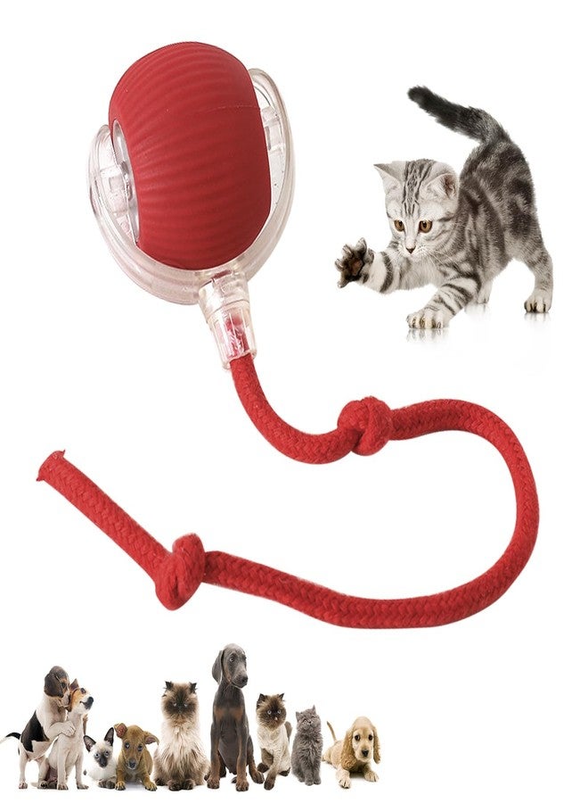 ROMILAS Interactive Rolling Dog Ball Toy Interactive Cat Ball Toy Fast Rolling 360° Smart Automatic Rolling Pet Ball for Dogs and Cats (Multicolor) - Image 1