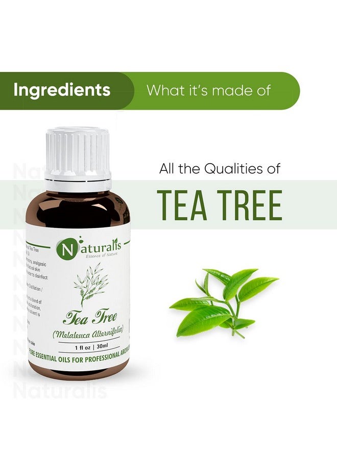 Naturalis Naturalis 100% Pure & Natural Essential Oil Tea Tree Oil - 30Ml Pack of 2  - Image 4