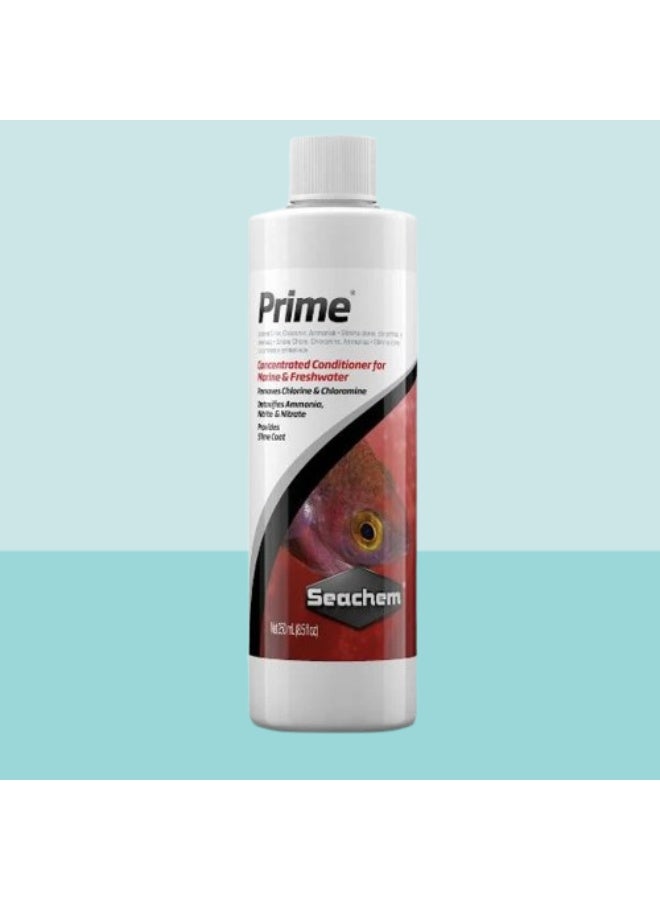 سي تشيم بلسم سيشيم برايم المنعش والمالح - مزيل للمواد الكيميائية ومزيل للسموم - Image 1