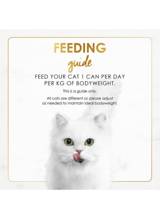 فانسي فيست وليمة دجاج ولحم بقري مشوي في المرق 85 جرام - Image 4